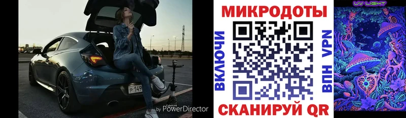 наркота  Лагань  Псилоцибиновые грибы мицелий 